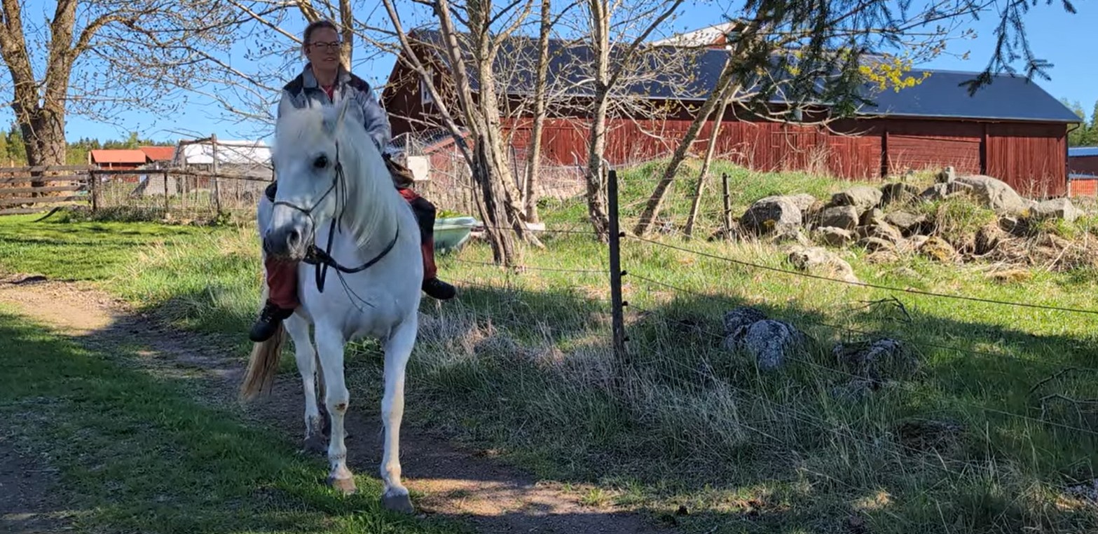 Annika har precis belönat Musica efter hon stannat