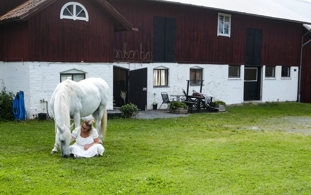Annika Lif sitter i vit klännning bredvid Musicas huvud när hon äter gräs