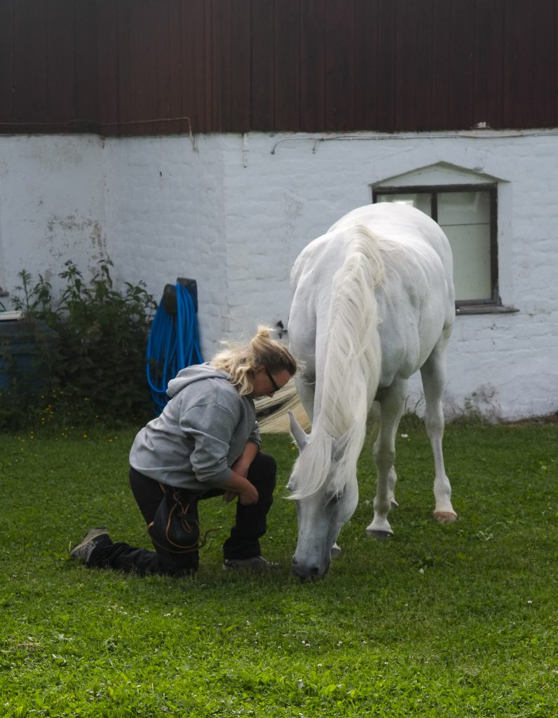 Annika Lif sitter på knä bredvid lipizzanern Musica som äter gräs på gräsmattan framför stallet i Svartarbo. 